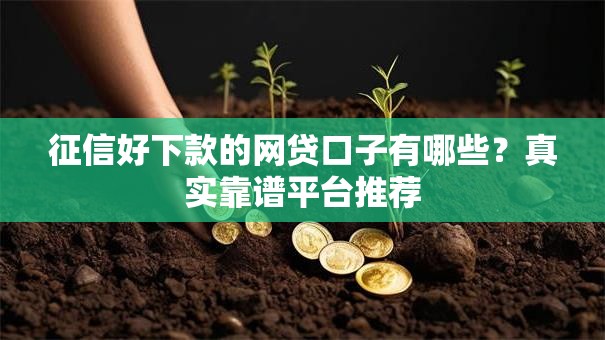 征信好下款的网贷口子有哪些？真实靠谱平台推荐
