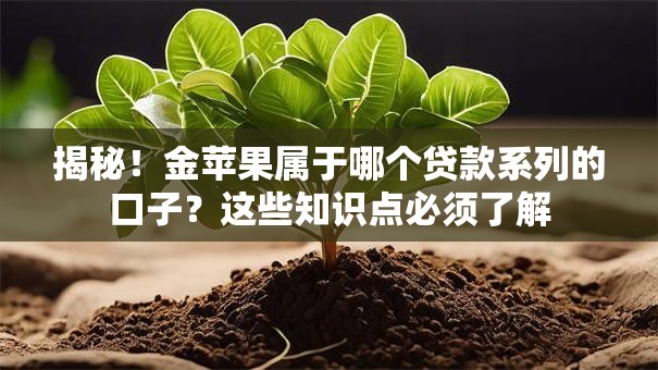 揭秘！金苹果属于哪个贷款系列的口子？这些知识点必须了解