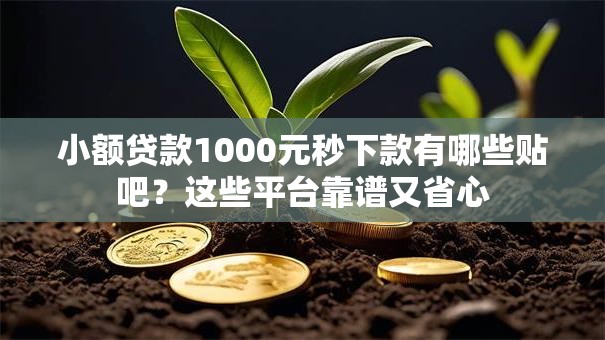 小额贷款1000元秒下款有哪些贴吧？这些平台靠谱又省心