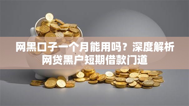 网黑口子一个月能用吗？深度解析网贷黑户短期借款门道