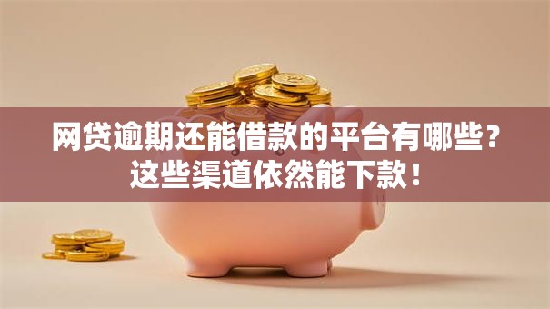 网贷逾期还能借款的平台有哪些？这些渠道依然能下款！