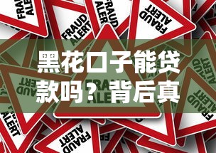 黑花口子能贷款吗？背后真相大揭秘，这些风险你必须知道