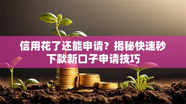 信用花了还能申请？揭秘快速秒下款新口子申请技巧