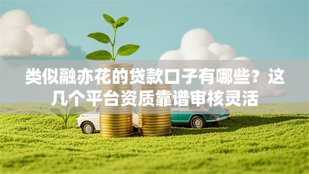 类似融亦花的贷款口子有哪些？这几个平台资质靠谱审核灵活