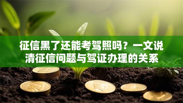 征信黑了还能考驾照吗？一文说清征信问题与驾证办理的关系