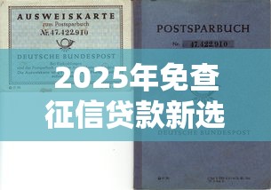 2025年免查征信贷款新选择：不看负债也能轻松申请！