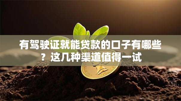 有驾驶证就能贷款的口子有哪些？这几种渠道值得一试