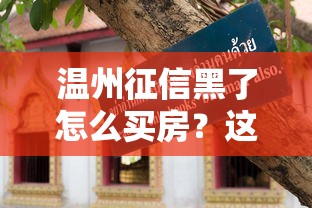 温州征信黑了怎么买房？这几个办法或许能帮到你