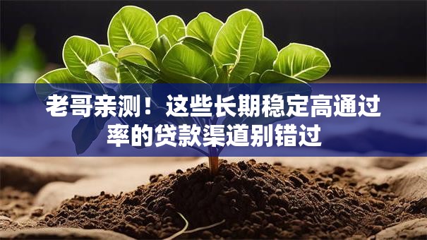 老哥亲测！这些长期稳定高通过率的贷款渠道别错过