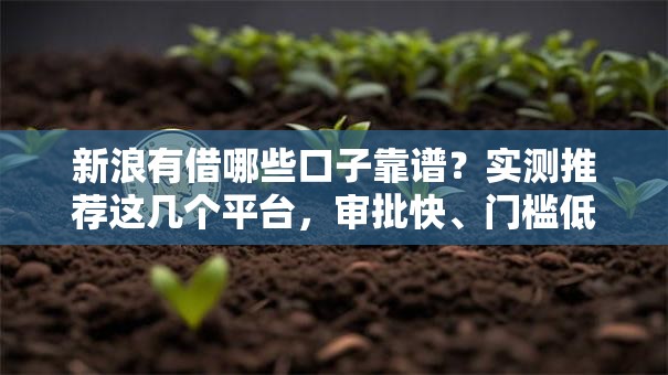 新浪有借哪些口子靠谱？实测推荐这几个平台，审批快、门槛低！