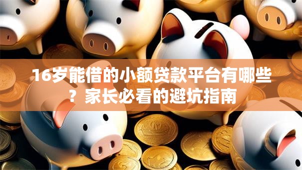 16岁能借的小额贷款平台有哪些？家长必看的避坑指南
