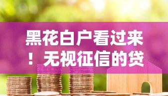 黑花白户看过来！无视征信的贷款口子真实评测