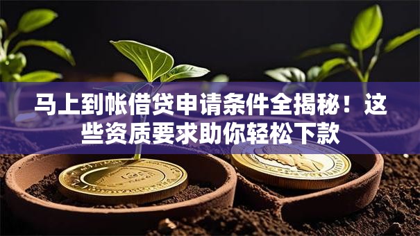 马上到帐借贷申请条件全揭秘！这些资质要求助你轻松下款