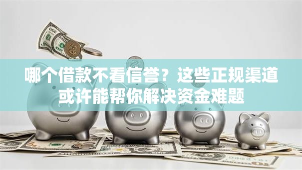 哪个借款不看信誉？这些正规渠道或许能帮你解决资金难题