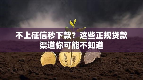 不上征信秒下款？这些正规贷款渠道你可能不知道