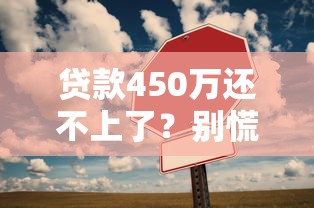贷款450万还不上了？别慌！这几种解决办法或许能帮到你
