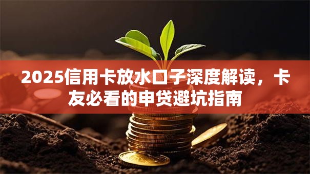 2025信用卡放水口子深度解读，卡友必看的申贷避坑指南