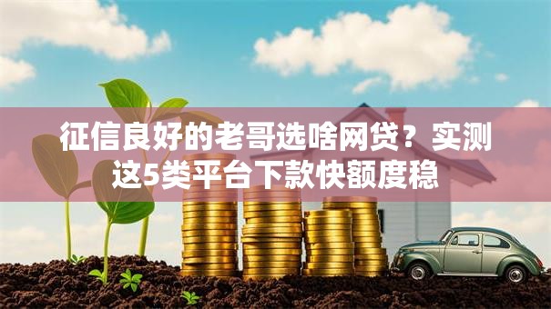 征信良好的老哥选啥网贷？实测这5类平台下款快额度稳