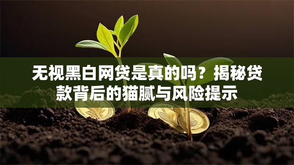 无视黑白网贷是真的吗？揭秘贷款背后的猫腻与风险提示
