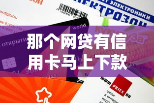 那个网贷有信用卡马上下款？实测5家审核快、到账稳的平台！