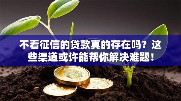 不看征信的贷款真的存在吗？这些渠道或许能帮你解决难题！