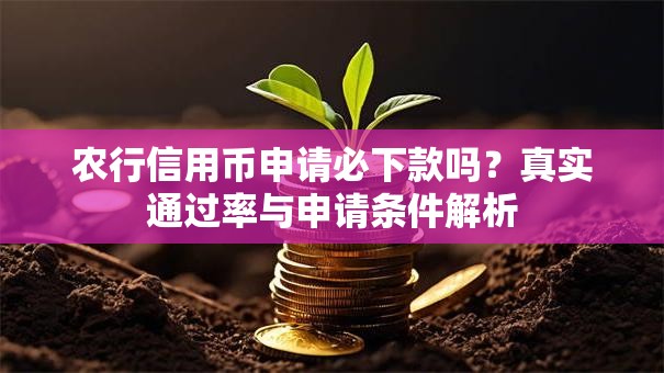 农行信用币申请必下款吗？真实通过率与申请条件解析