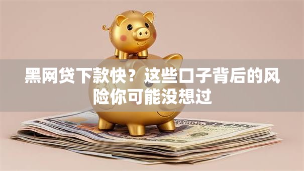 黑网贷下款快？这些口子背后的风险你可能没想过