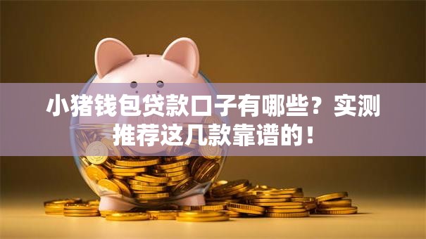 小猪钱包贷款口子有哪些？实测推荐这几款靠谱的！