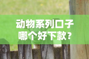 动物系列口子哪个好下款？实测这3款通过率高又好用