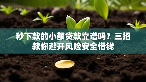 秒下款的小额贷款靠谱吗？三招教你避开风险安全借钱