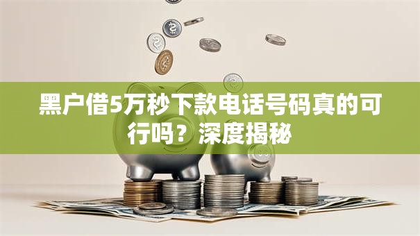 黑户借5万秒下款电话号码真的可行吗？深度揭秘