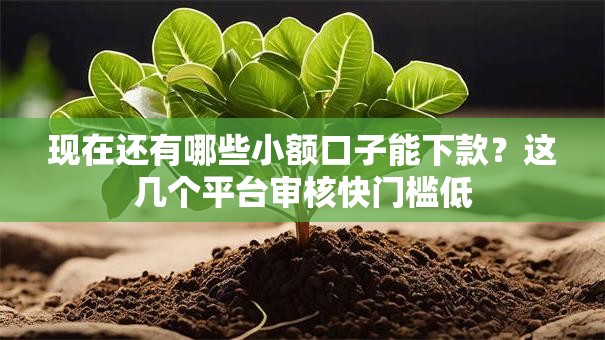 现在还有哪些小额口子能下款？这几个平台审核快门槛低