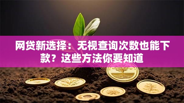 网贷新选择：无视查询次数也能下款？这些方法你要知道
