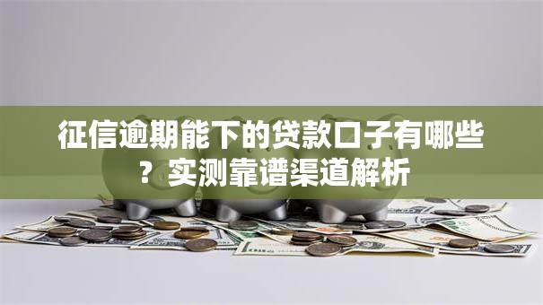 征信逾期能下的贷款口子有哪些？实测靠谱渠道解析
