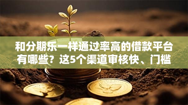 和分期乐一样通过率高的借款平台有哪些？这5个渠道审核快、门槛低！