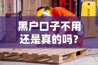 黑户口子不用还是真的吗？深度揭秘背后的风险与真相