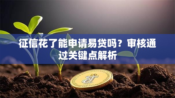 征信花了能申请易贷吗？审核通过关键点解析