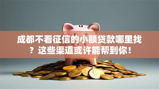 成都不看征信的小额贷款哪里找？这些渠道或许能帮到你！