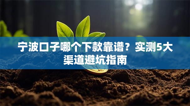 宁波口子哪个下款靠谱？实测5大渠道避坑指南
