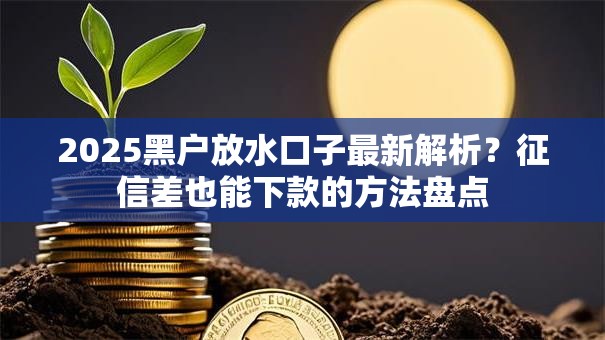 2025黑户放水口子最新解析？征信差也能下款的方法盘点