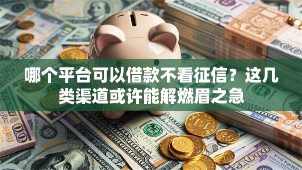 哪个平台可以借款不看征信？这几类渠道或许能解燃眉之急