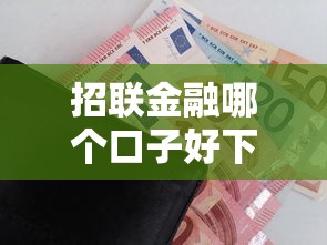 招联金融哪个口子好下款？实测这5大平台审核快、通过率高！