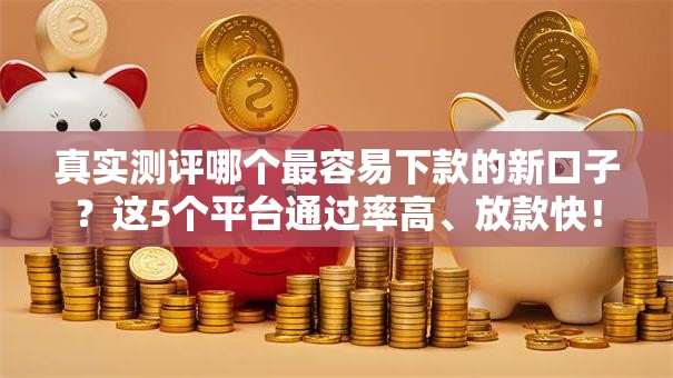 真实测评哪个最容易下款的新口子？这5个平台通过率高、放款快！