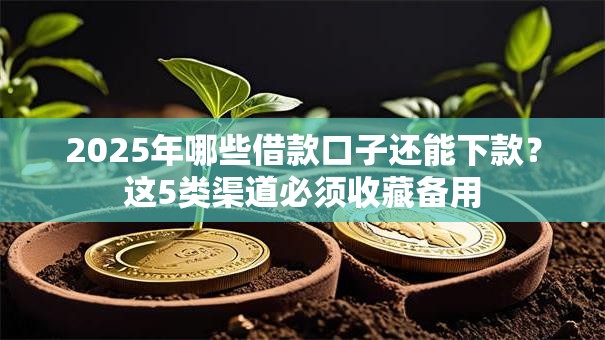 2025年哪些借款口子还能下款？这5类渠道必须收藏备用
