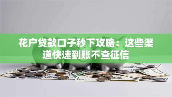 花户贷款口子秒下攻略：这些渠道快速到账不查征信