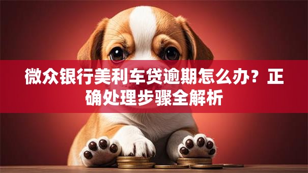微众银行美利车贷逾期怎么办？正确处理步骤全解析
