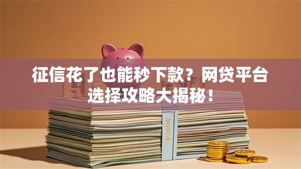 征信花了也能秒下款？网贷平台选择攻略大揭秘！