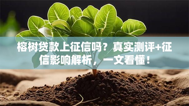 榕树贷款上征信吗？真实测评+征信影响解析，一文看懂！