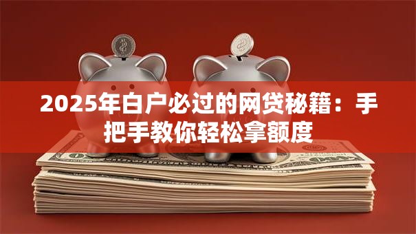 2025年白户必过的网贷秘籍：手把手教你轻松拿额度