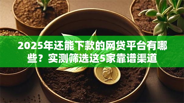 2025年还能下款的网贷平台有哪些？实测筛选这5家靠谱渠道